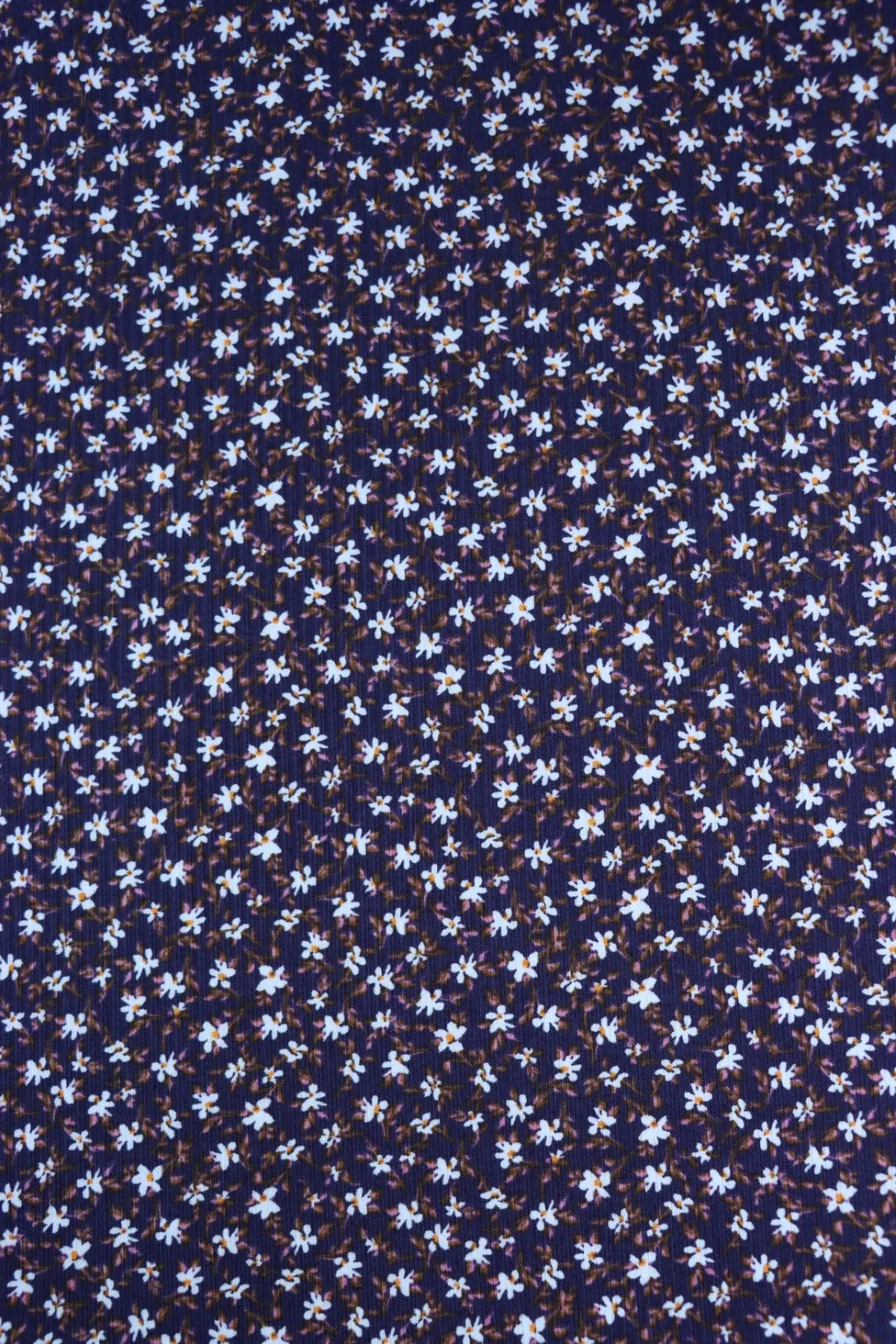 Cassia on Navy Yummy 4x2 Rib Knit