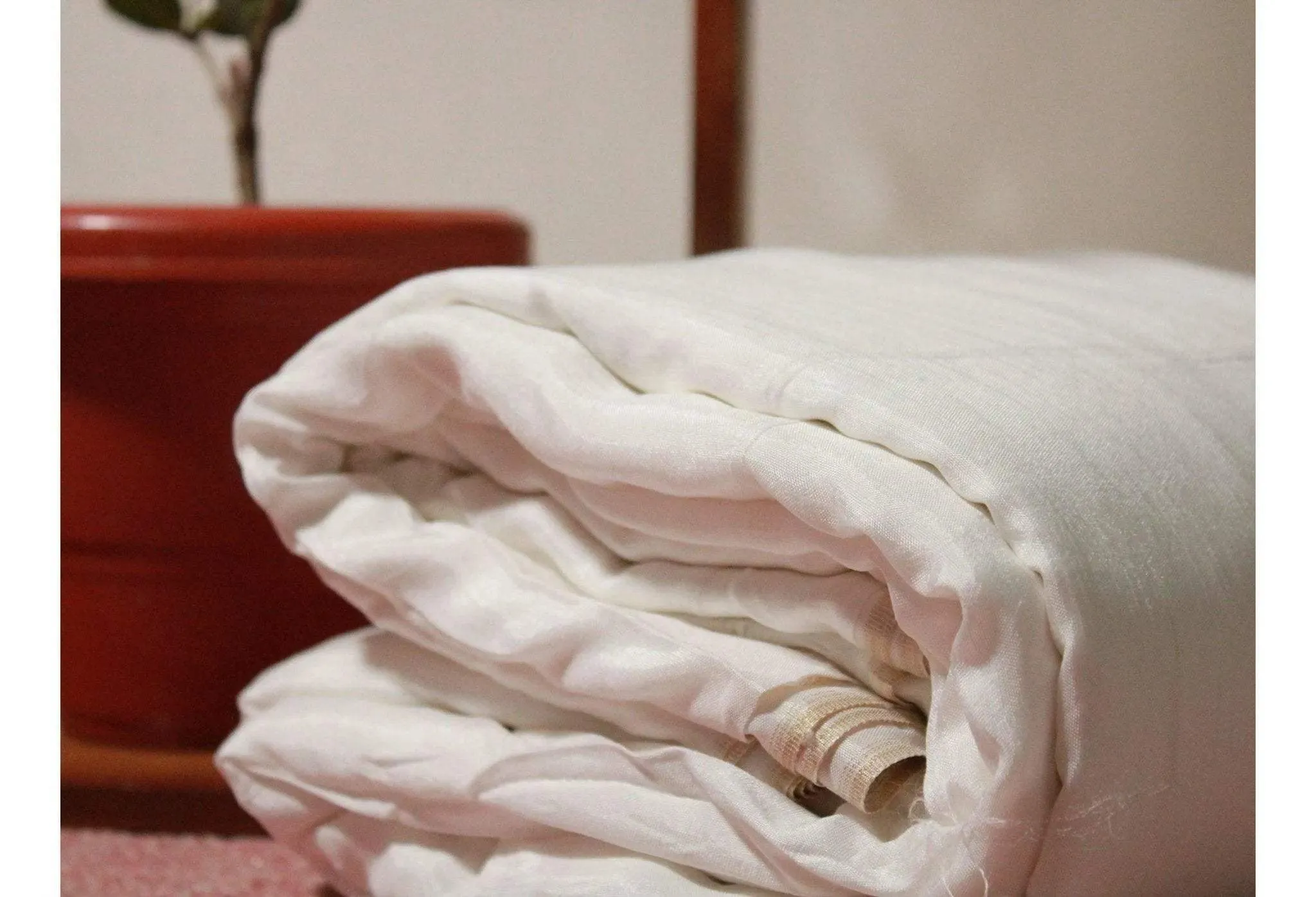 Dyeable Dola Silk Fabric